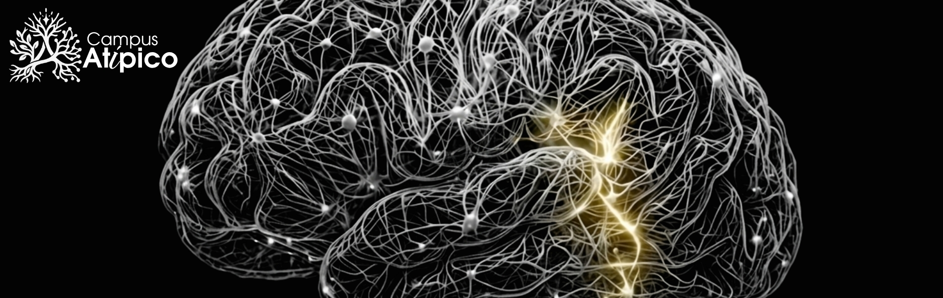 Innovar más, vivir mejor: lo que la ciencia empieza a revelar sobre innovación, bienestar y longevidad